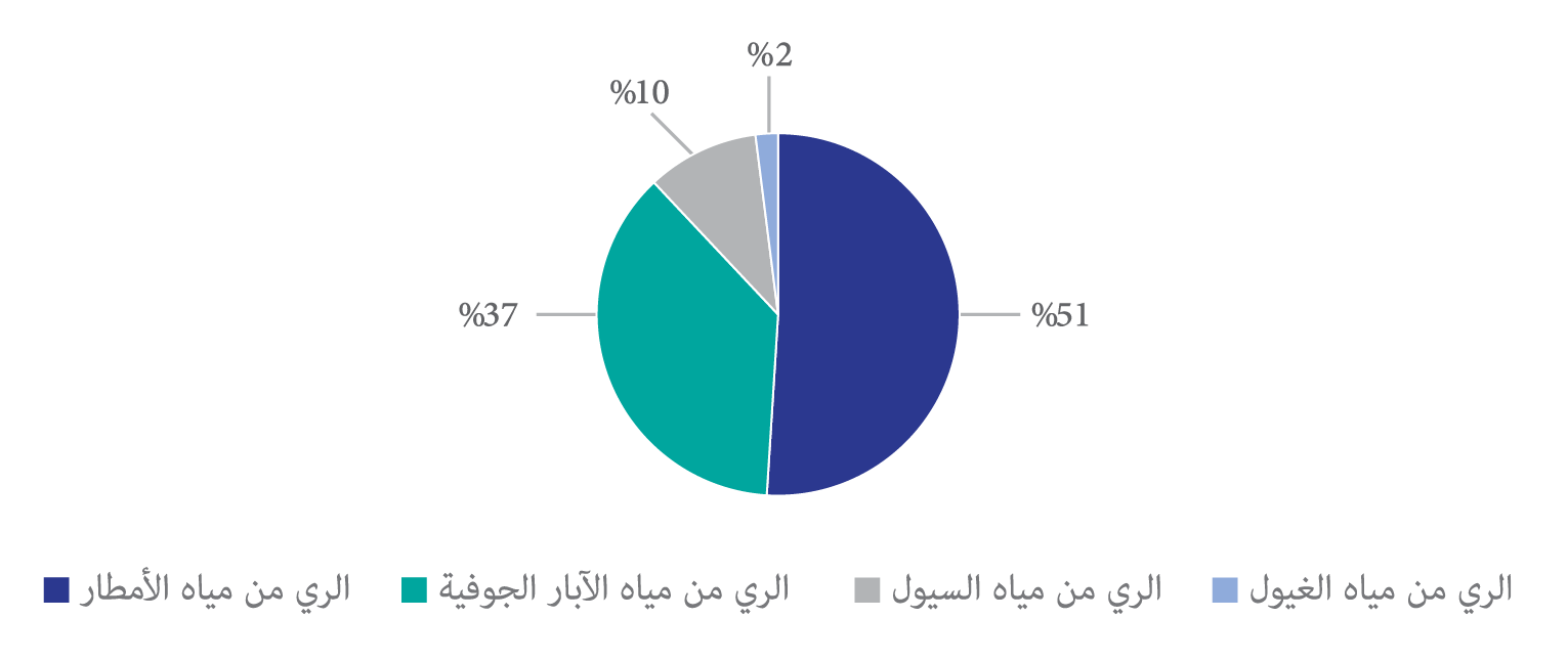 صورة الشكل «1»