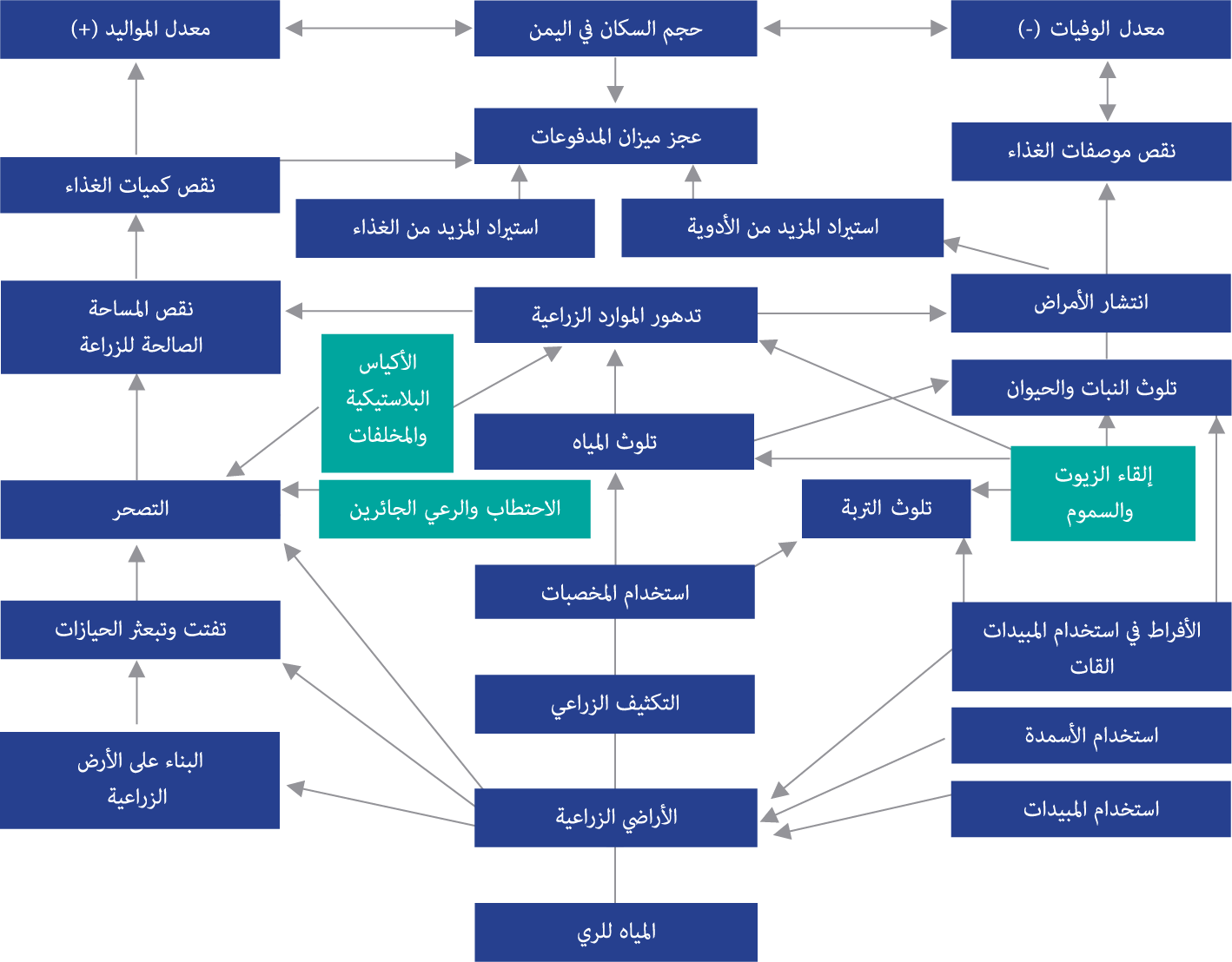 صورة الشكل «5»