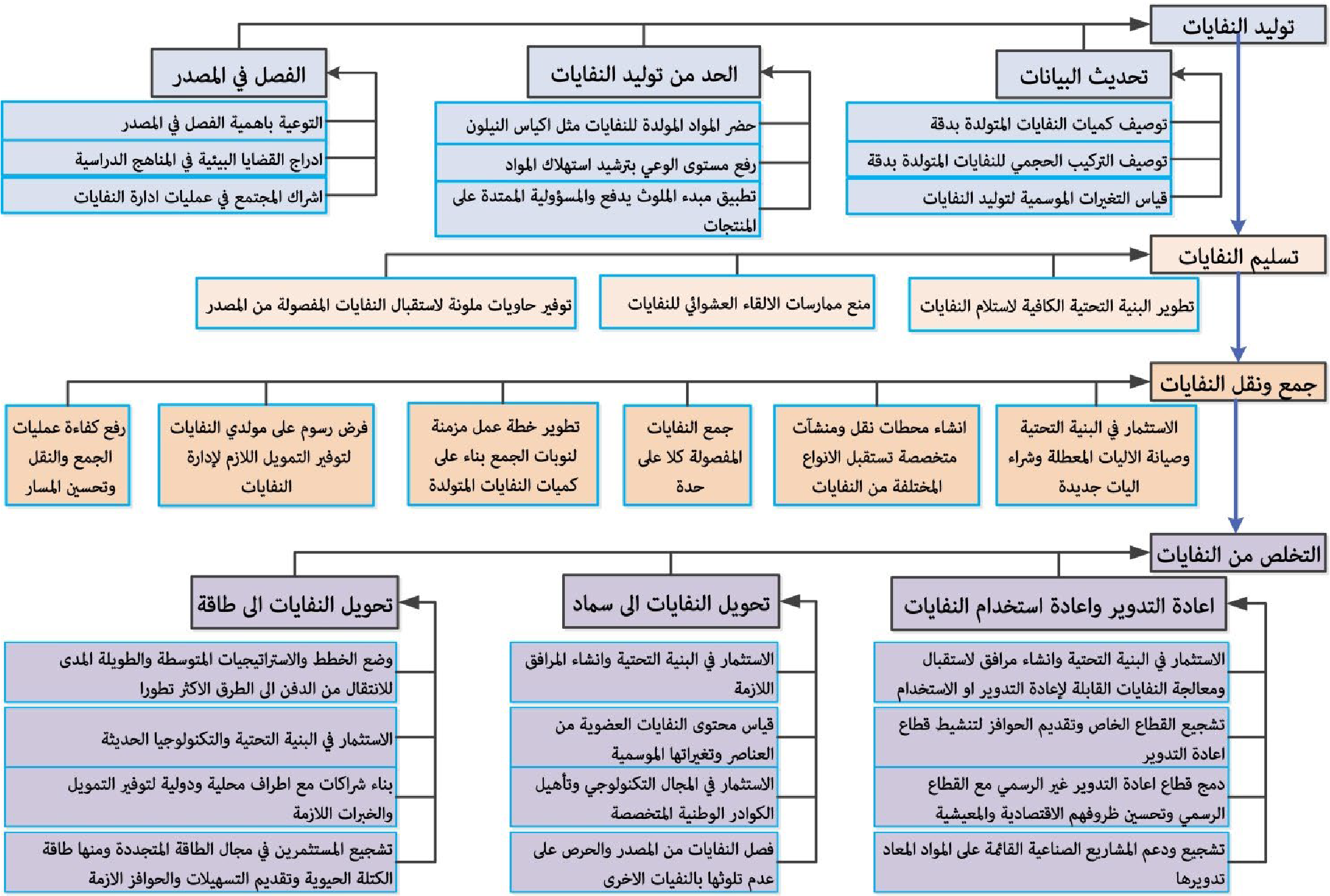 صورة الشكل «4»